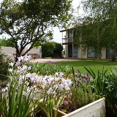 Coonawarra Motor Lodge Penola Dış mekan fotoğraf