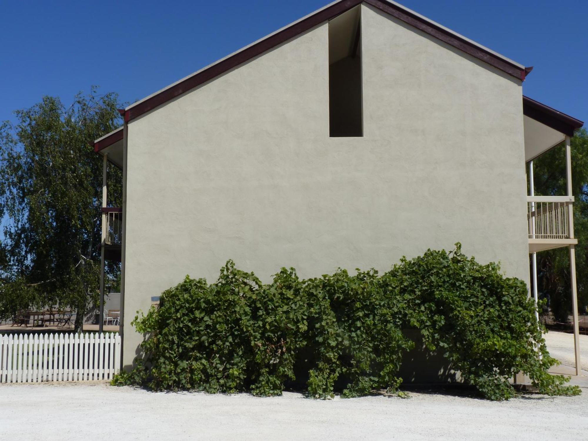 Coonawarra Motor Lodge Penola Dış mekan fotoğraf